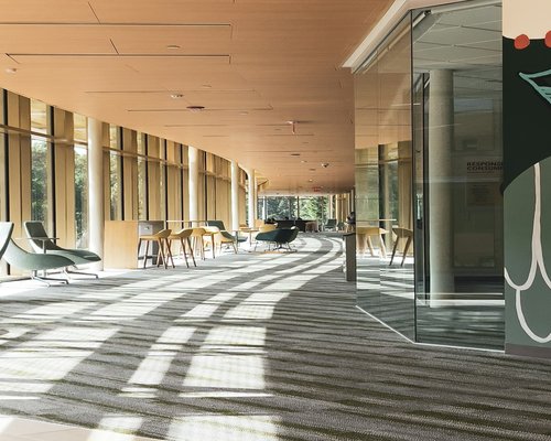 modern workspace with natural lighting