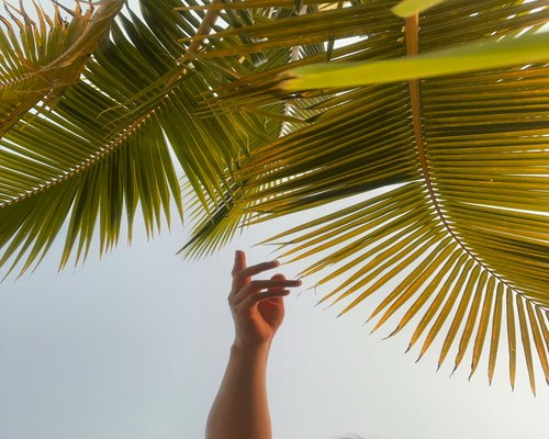 woman relaxing eyes with palms